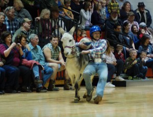 Donkey Ball 012 cropped