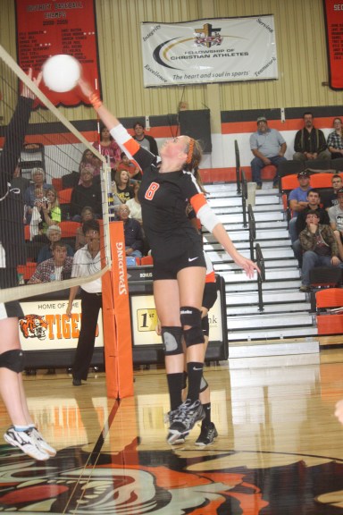 0 Hoppe Volleyball HS 159