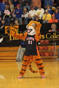 Tiger Rocks IMG_3316