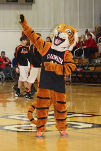 Tiger Rocks IMG_3321