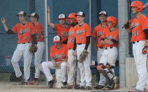 IMG_9172cropped resized