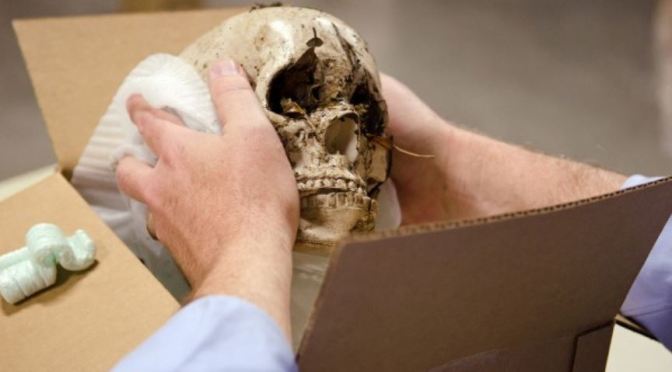 PROFESSOR MORIARTY’S SKULL DELIVERED TO UNIVERSITY OF MINNESOTA