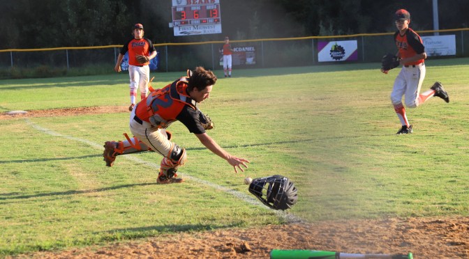 FREE SPORTS PHYSICALS