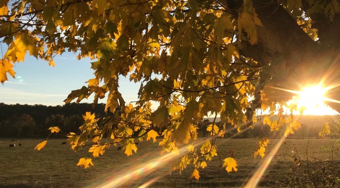 EARLY DISMISSAL ON FRIDAY OCT 30